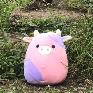 Meet your Posher, Mery jane